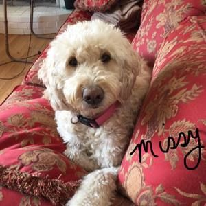 Meet your Posher, Patricia